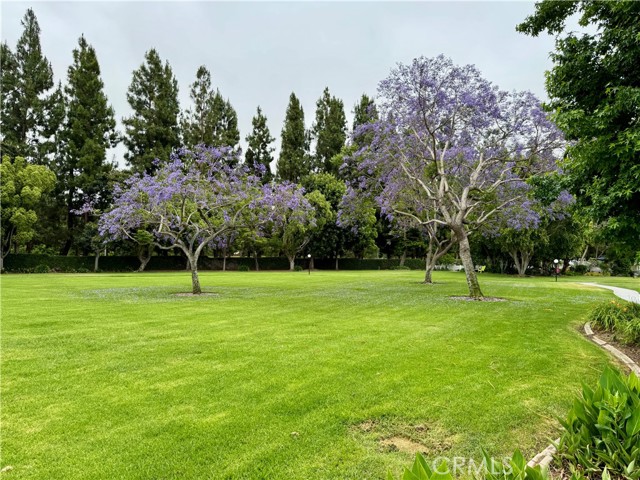 MLS #NP25131734 image #26