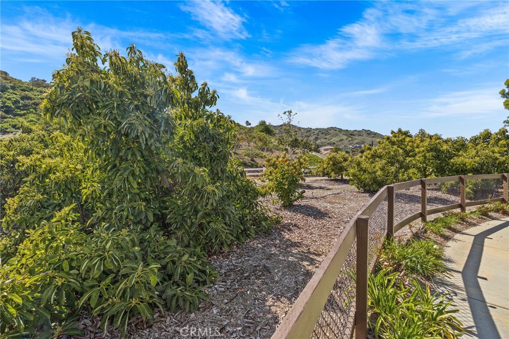 MLS #NP25132841 image #29