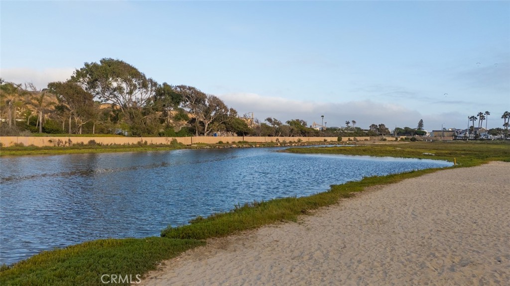 MLS #NP25135852 image #43