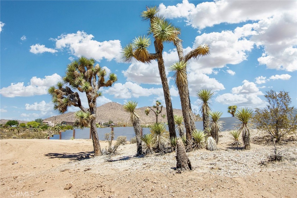 MLS #NP25136390 image #1