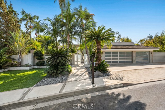 MLS #NP25137208 image #3