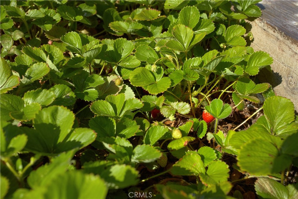 MLS #NP25138164 image #48