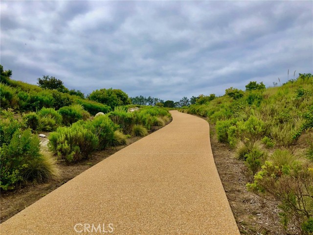 MLS #NP25150866 image #30