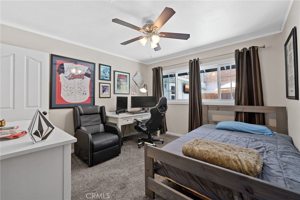 MLS #NP25159026 image #13