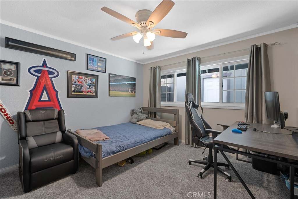 MLS #NP25159026 image #15