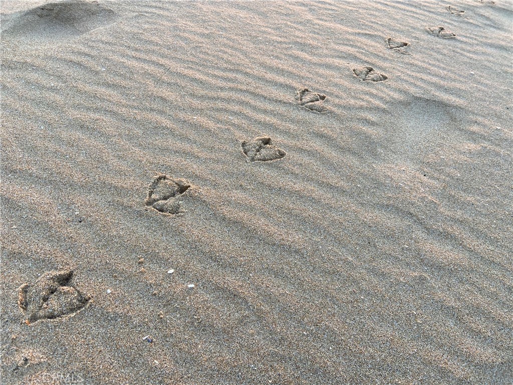 MLS #NP25160473 image #21