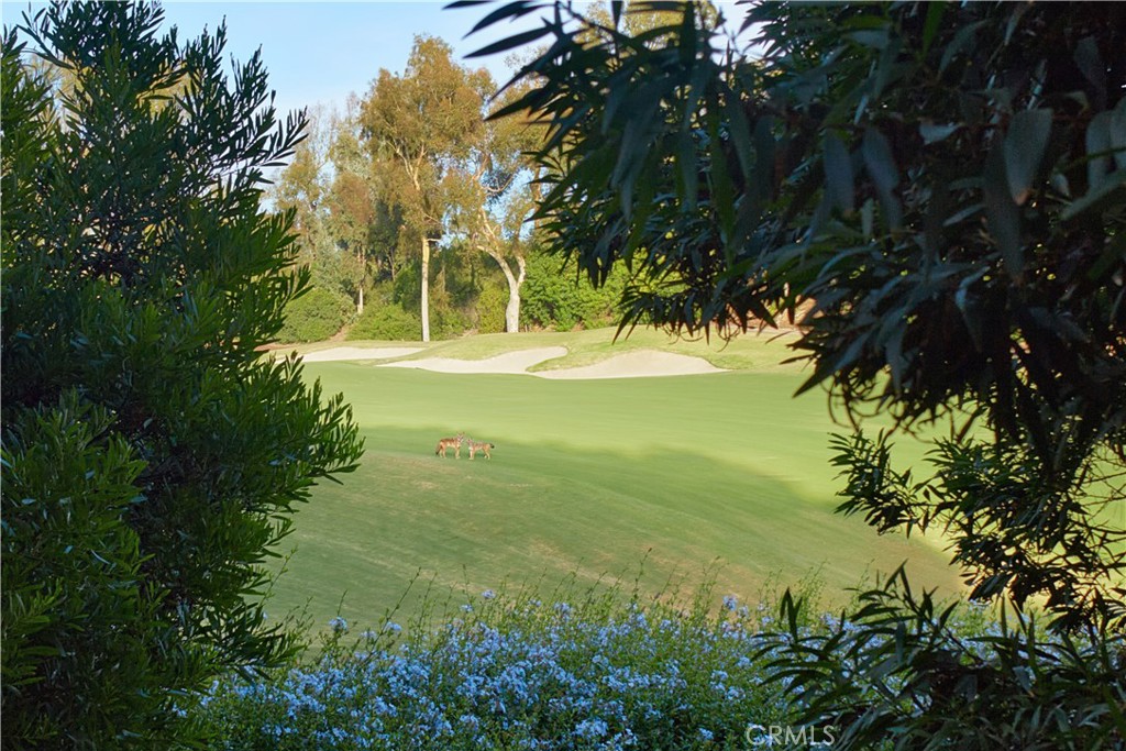 MLS #NP25164615 image #31