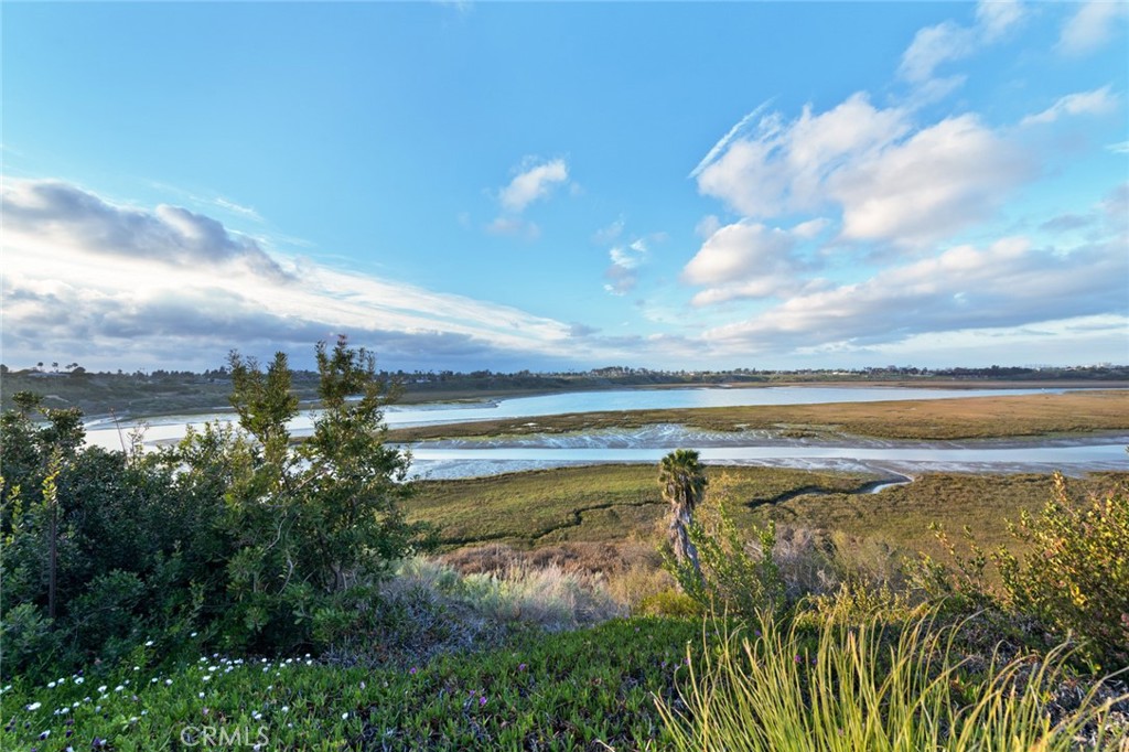 MLS #NP25165998 image #11