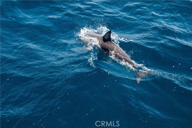 MLS #NP25167265 image #24