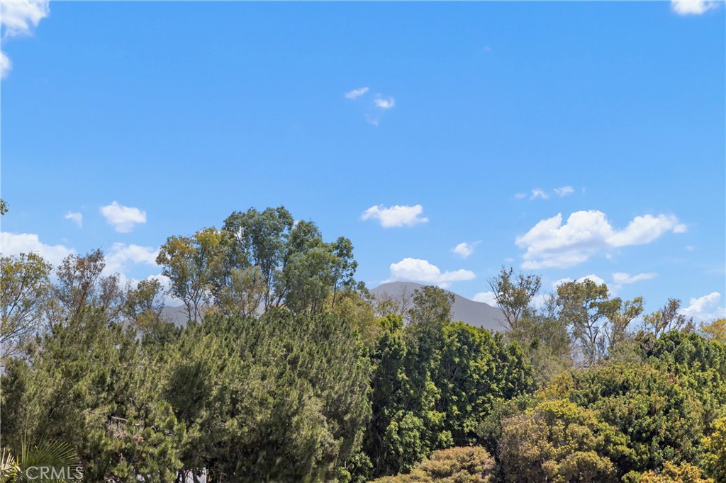 MLS #NP25171790 image #16