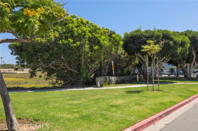 MLS #NP25176259 image #33