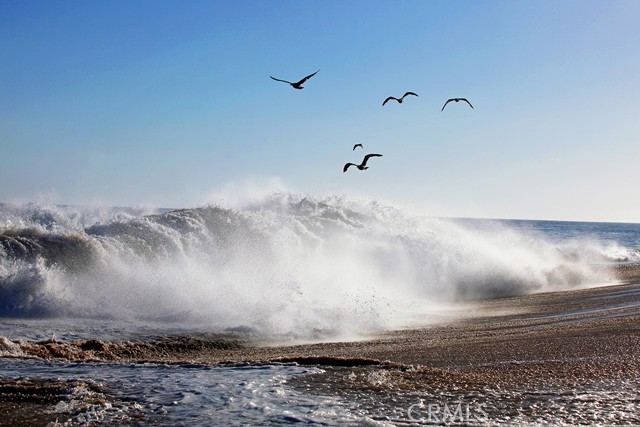 MLS #NP25176259 image #46