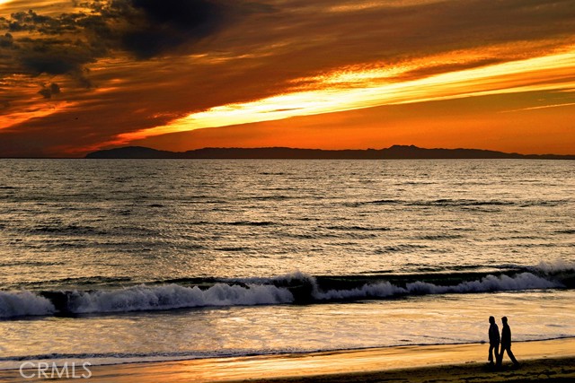 MLS #NP25176259 image #49