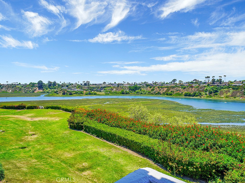 MLS #NP25178754 image #29