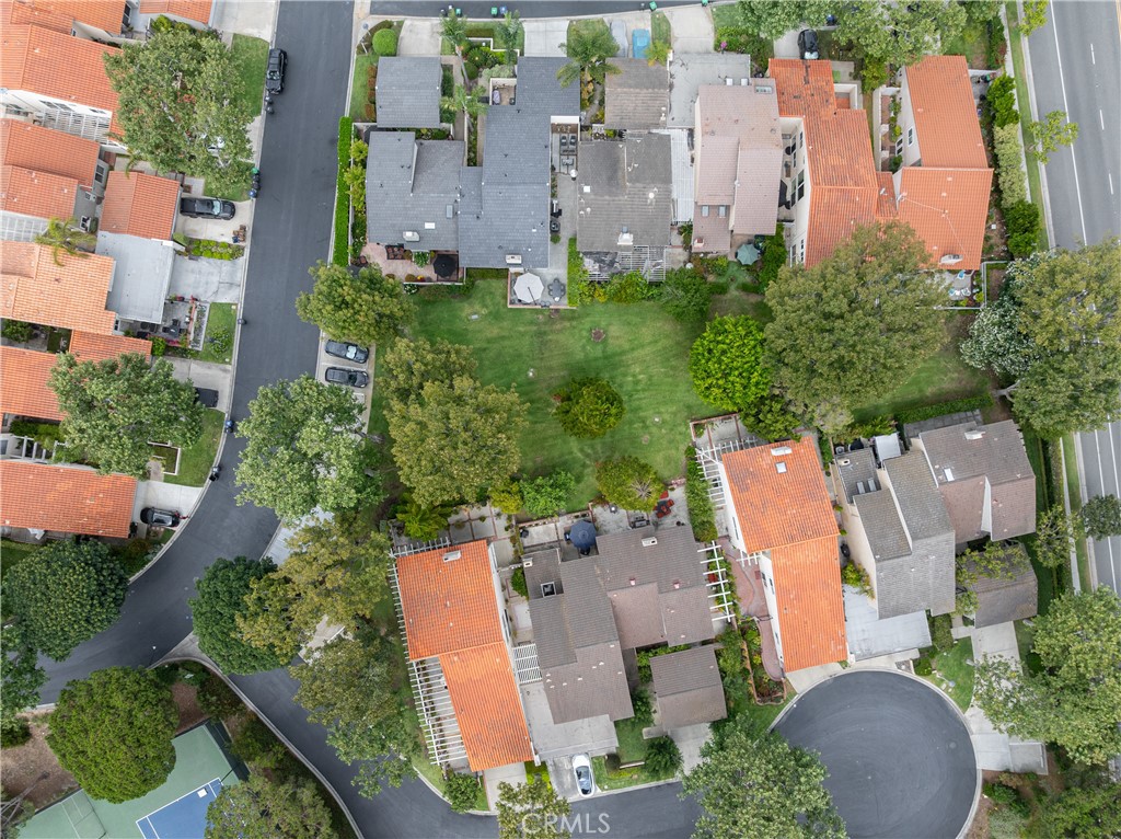 MLS #NP25181221 image #39