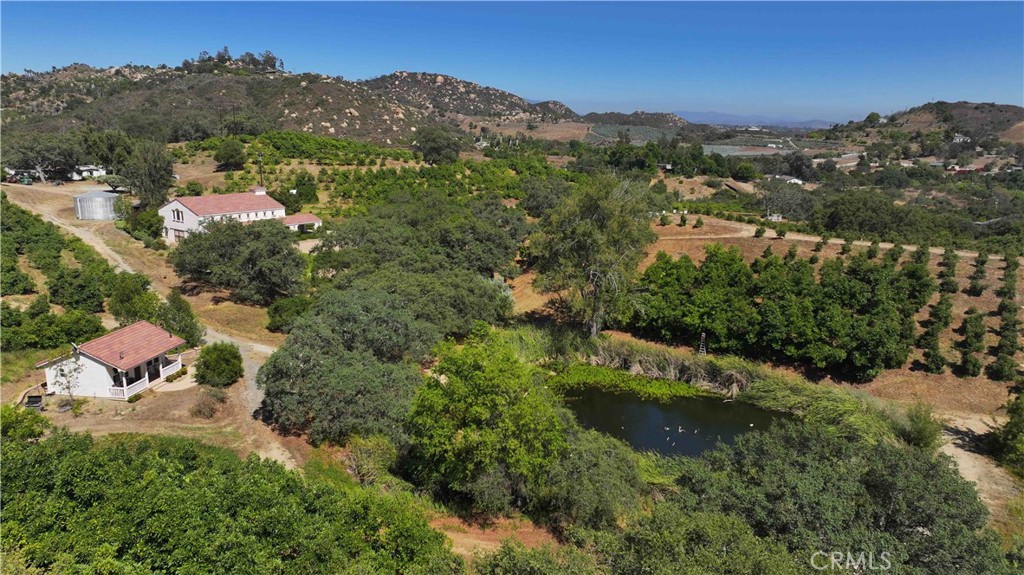 MLS #NP25183131 image #0