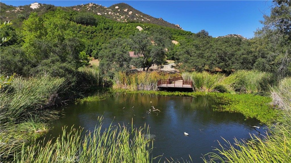 MLS #NP25183131 image #22