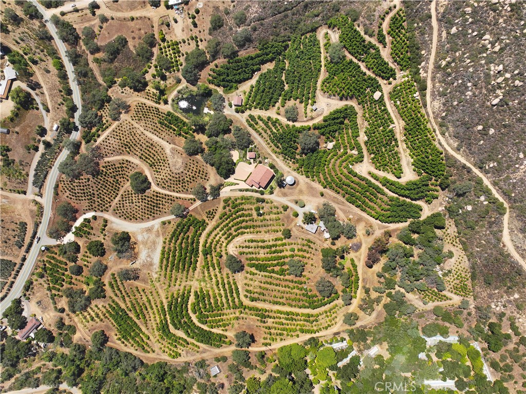 MLS #NP25183131 image #27