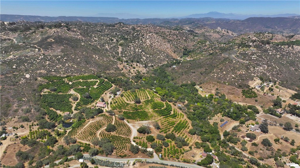 MLS #NP25183131 image #28