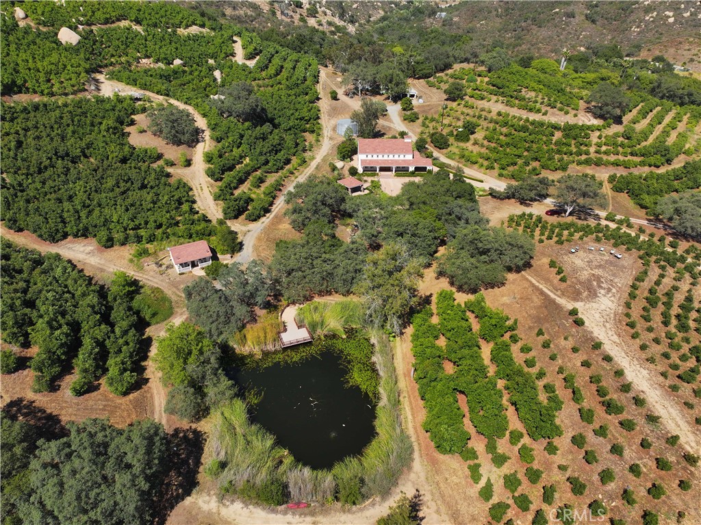 MLS #NP25183131 image #4