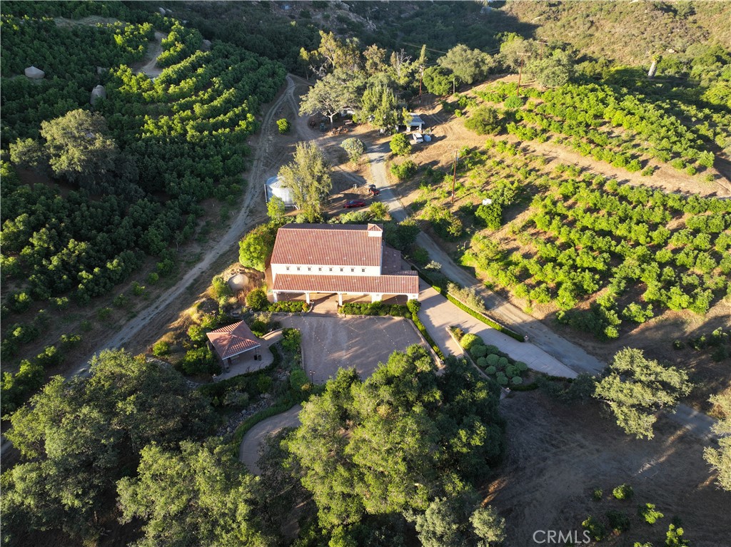 MLS #NP25183131 image #6