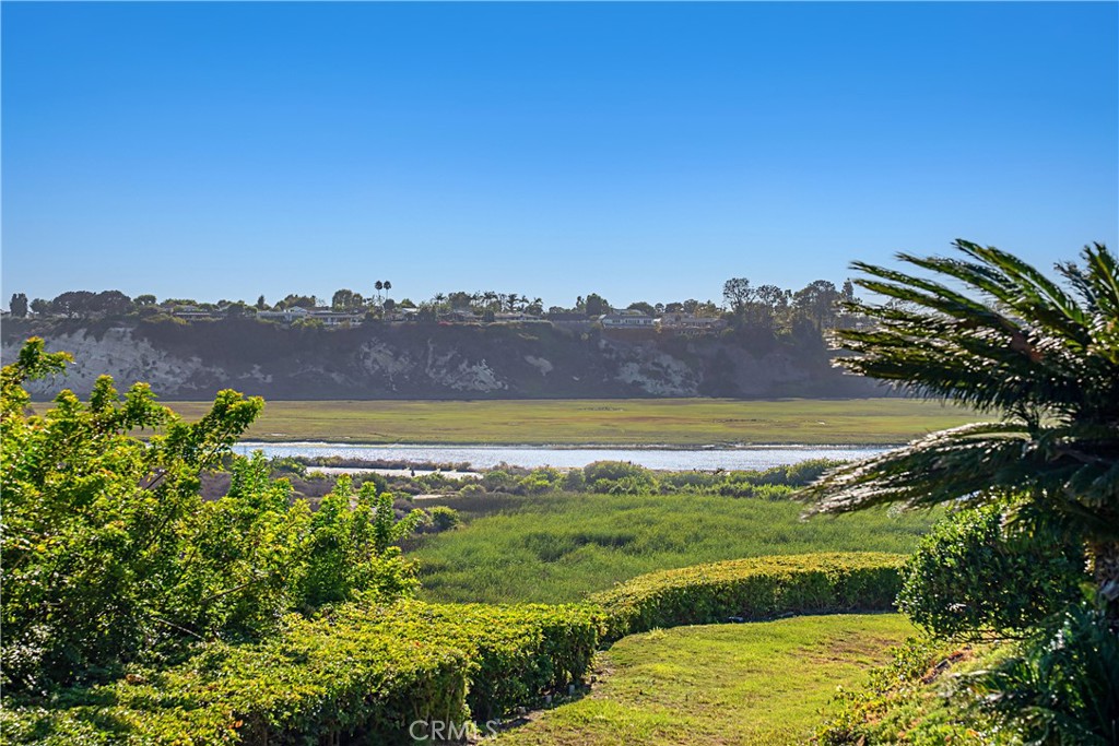 MLS #NP25185990 image #33