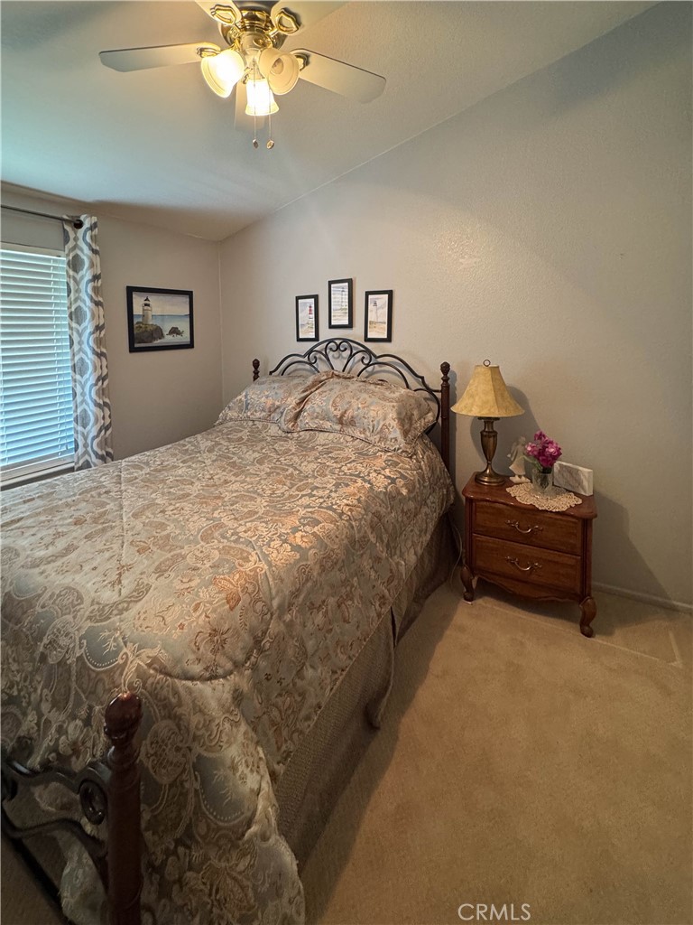 MLS #NP25186456 image #22