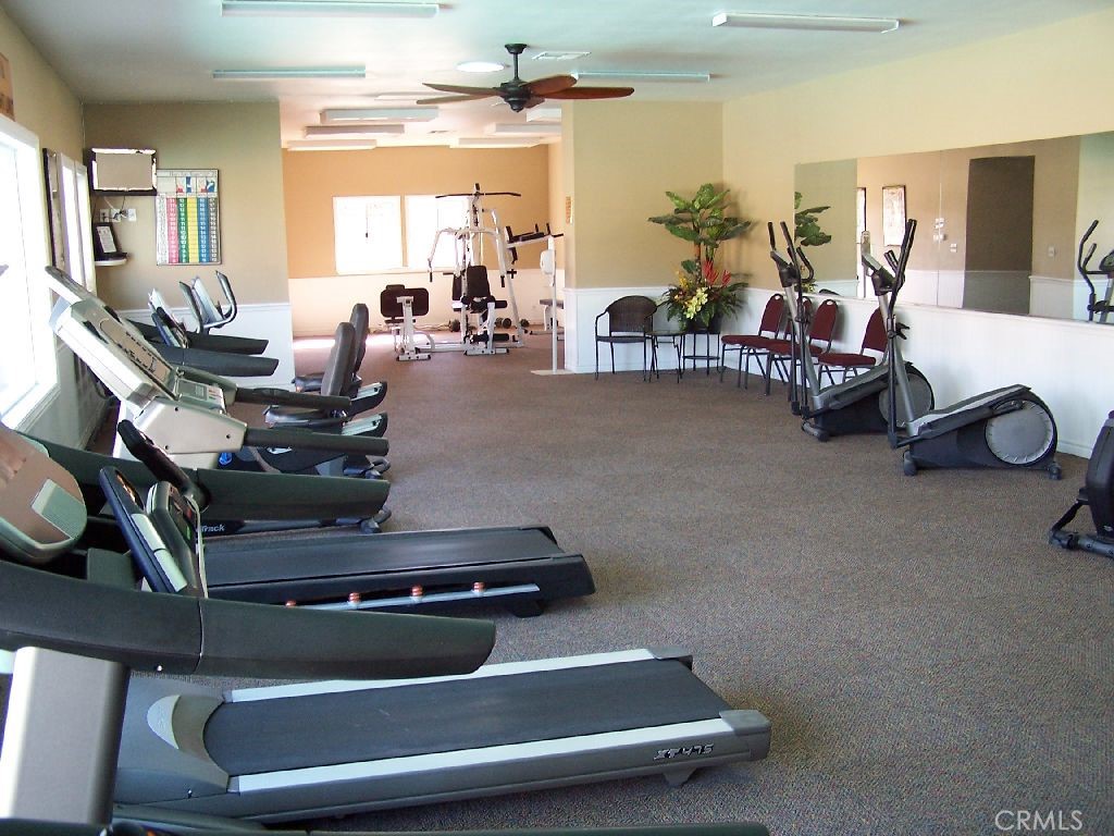 MLS #NP25186456 image #47