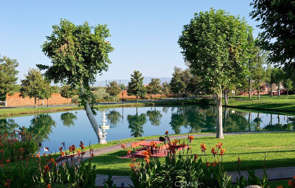 MLS #NP25186456 image #48