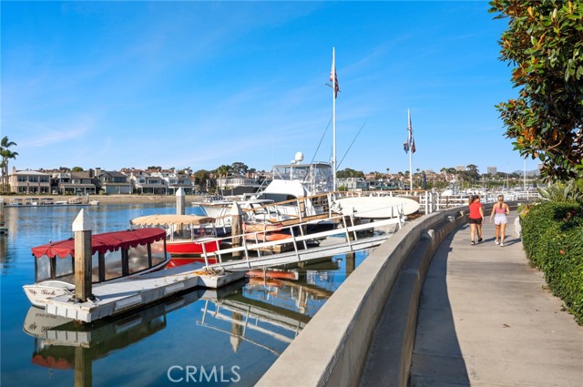 MLS #NP25190330 image #2