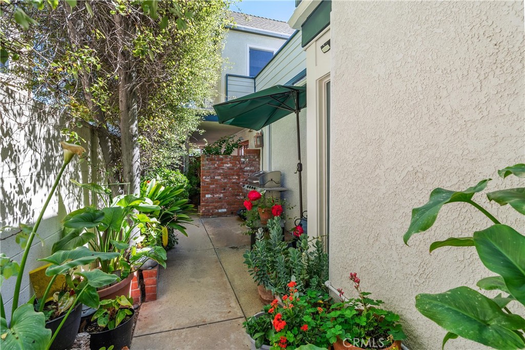 MLS #NP25190418 image #25