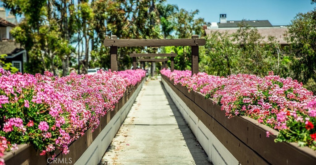 MLS #NP25194500 image #21