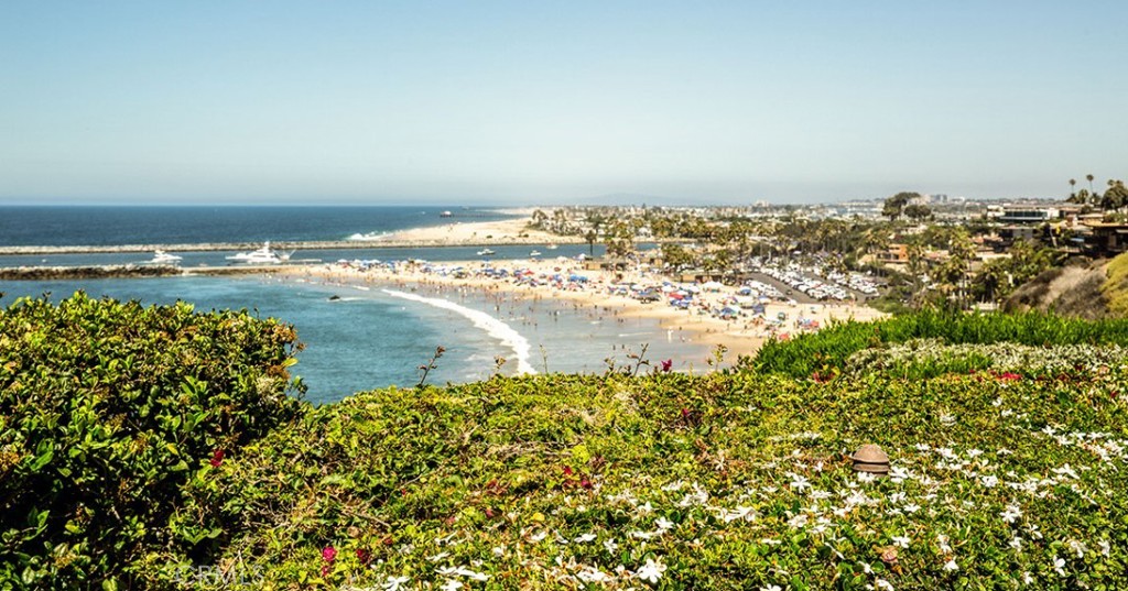 MLS #NP25194500 image #23