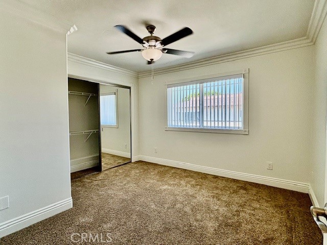 MLS #NP25195189 image #35