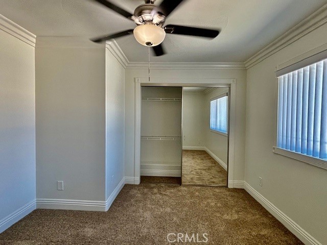 MLS #NP25195189 image #36