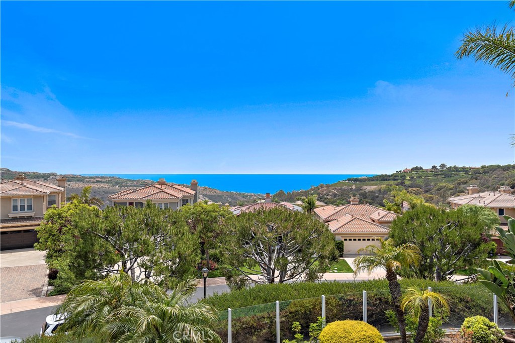 MLS #NP25199783 image #29