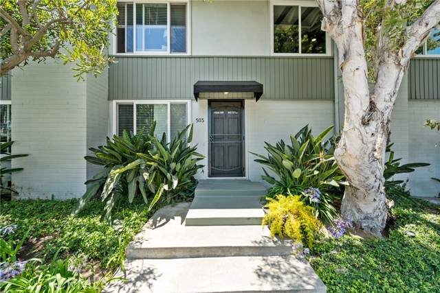 MLS #NP25202526 image #0