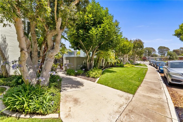 MLS #NP25202526 image #13