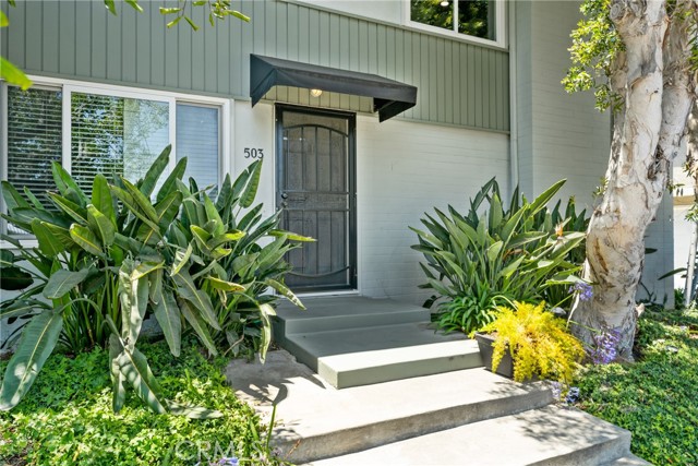 MLS #NP25202526 image #16