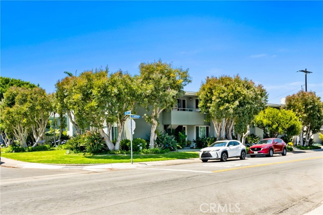 MLS #NP25202526 image #18