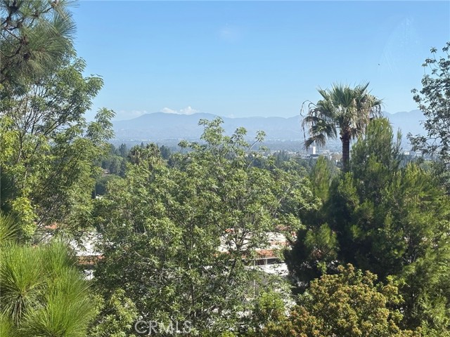 MLS #NP25207007 image #19