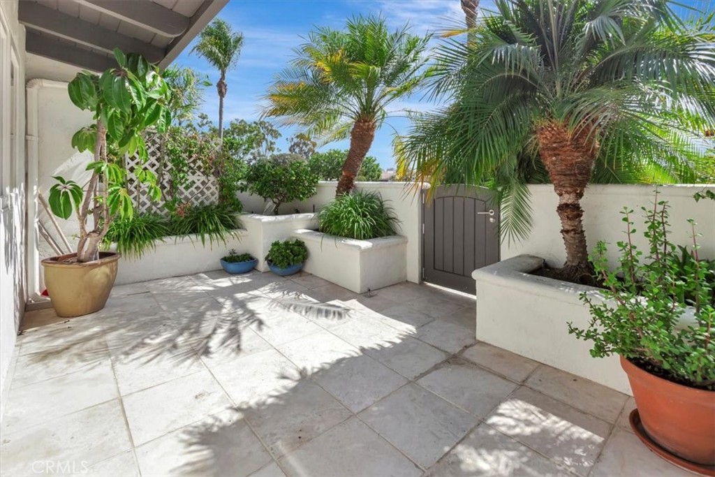 MLS #NP25214353 image #3