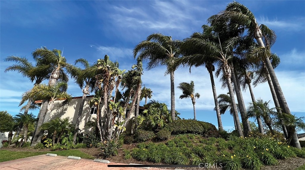 MLS #NP25214353 image #31