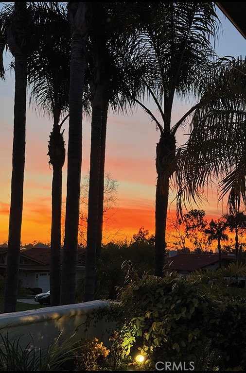 MLS #NP25214353 image #32