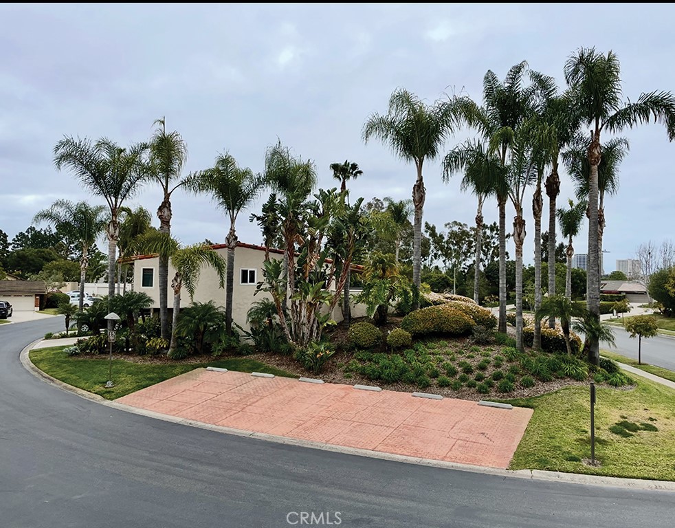 MLS #NP25214353 image #33