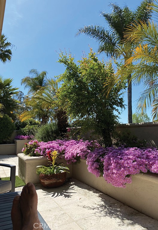 MLS #NP25214353 image #35