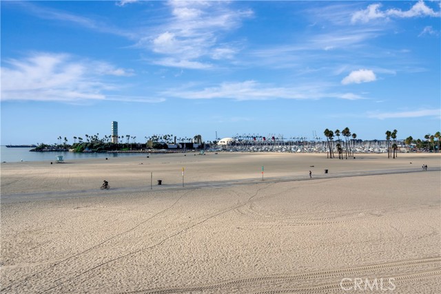 MLS #NP25218273 image #3