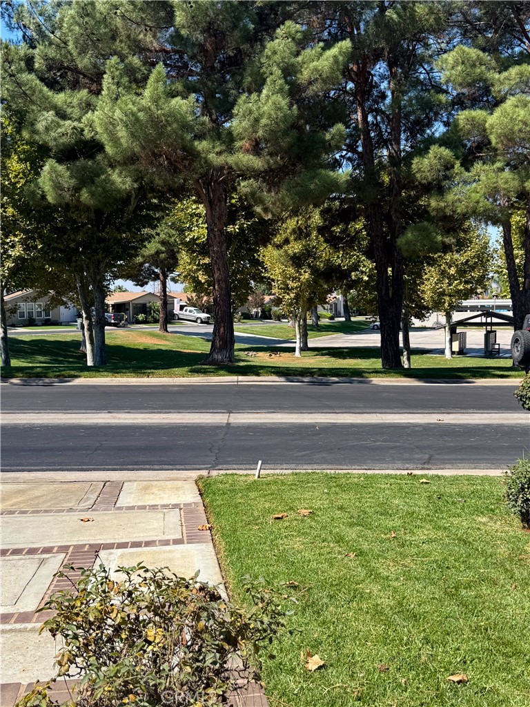 MLS #NP25218860 image #1