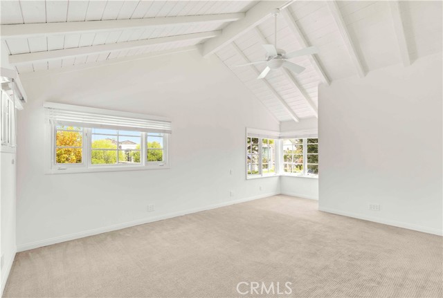 MLS #NP25221253 image #11