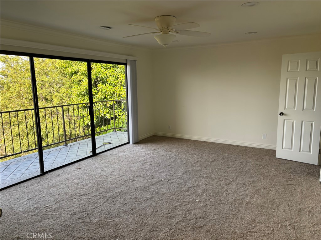 MLS #NP25223717 image #7